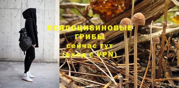 первитин Мегион