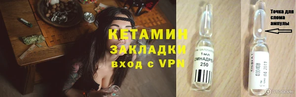 гидра Михайловка