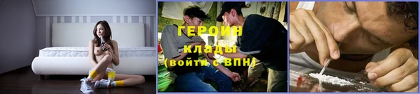 гидра Михайловка
