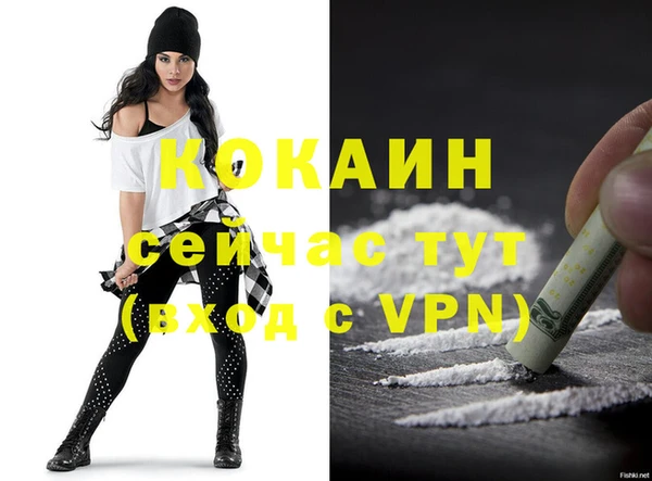 гидра Михайловка